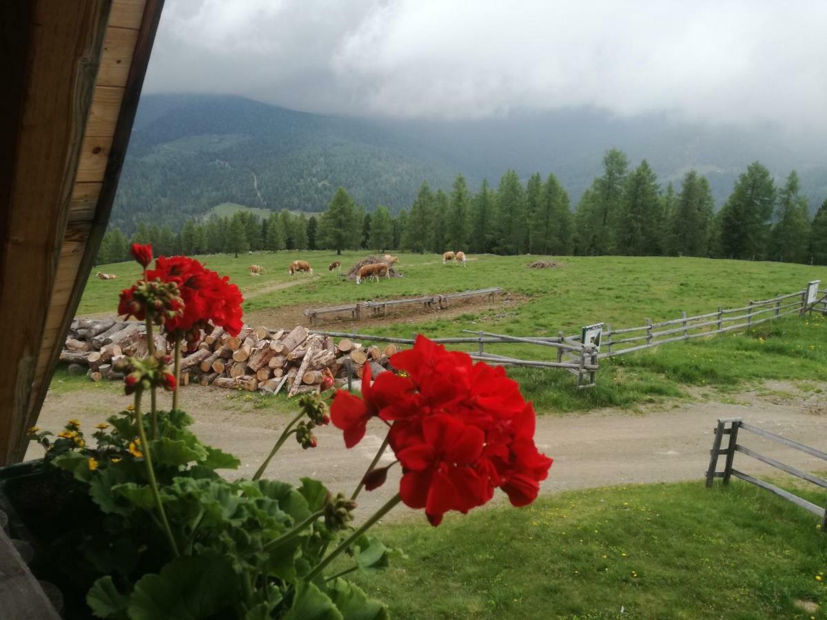 Hiasl Zirbenhuette Otel Hochrindl Dış mekan fotoğraf